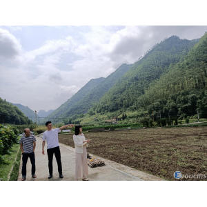 罗甸县“十四五”农业农村现代化发展规划阶段性调研工作顺利开展